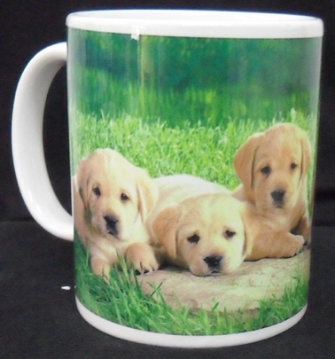 normalmug2